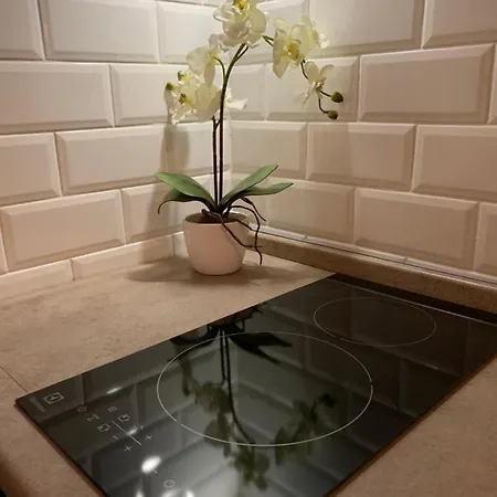 Vivi * بودابست